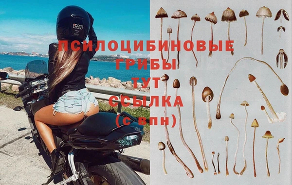 apvp Беломорск