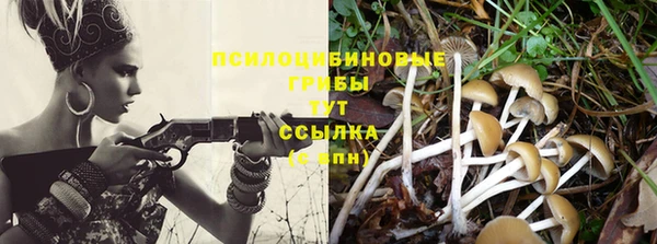 ALPHA PVP Белокуриха