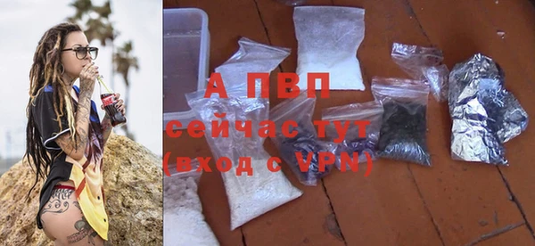 ALPHA PVP Белокуриха