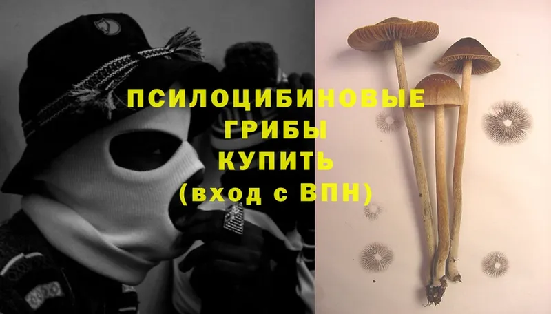 Псилоцибиновые грибы Magic Shrooms  Грайворон 